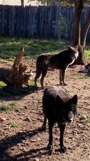 Les Gites Du Parc Animalier De Ginasservis エクステリア 写真